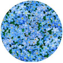 Load image into Gallery viewer, Forget Me Not Silicone Jar Opener
