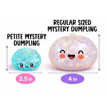 Load image into Gallery viewer, Fun Doh Squishy Mystery Mini Petite 2.5" Dumpling Squishies
