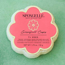 Load image into Gallery viewer, Grapefruit Cassis  Daisy Spongette - 7+ Washes
