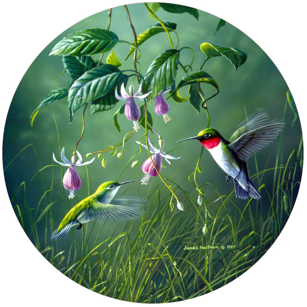 Hb Hummingbird & Fushia Silicone Jar Opener