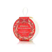 Load image into Gallery viewer, 
Home_Hearth_Holiday_Wreath_Gift_Set-_10_Washes_1
