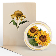 Load image into Gallery viewer, Beautiful Botanicals Paperpop® Card - Assorted
