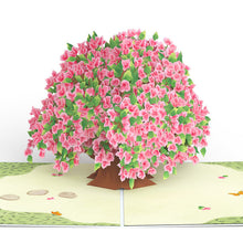 Load image into Gallery viewer, Bougainvillea Garden Lovepop Card
