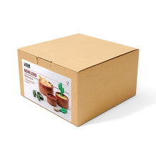 Load image into Gallery viewer, Cardboard box with a 'Bowlero' product label on a white background
