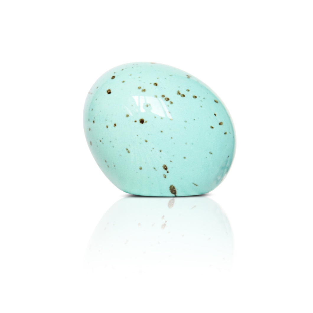 NEW - Robin's Egg - Eggstra - Ordinary