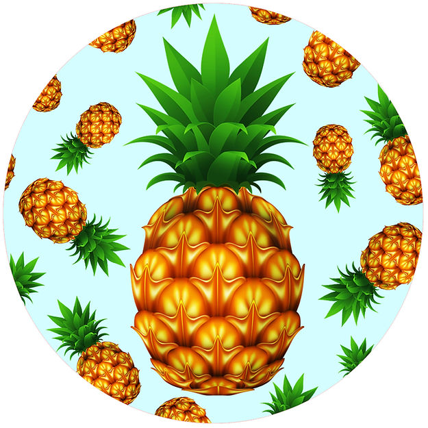 Pineapple Silicone Jar Opener