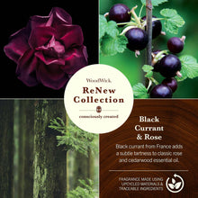 Load image into Gallery viewer, ReNew Collection Black Currant &amp; Rose WoodWick Candle
