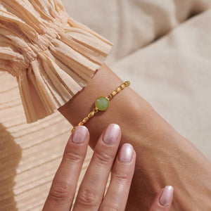 Serenity Stones Aventurine Bracelet In Gold-Tone Plating