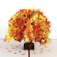 Load image into Gallery viewer, Sugar Maple Tree Lovepop 3D card
