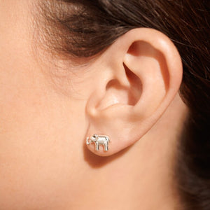 Beautifully Boxed 'Lucky Elephant' Earrings in Silver