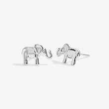 Load image into Gallery viewer, Beautifully Boxed &#39;Lucky Elephant&#39; Earrings in Silver
