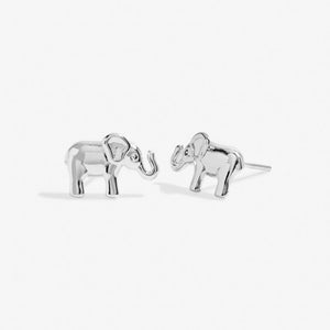 Beautifully Boxed 'Lucky Elephant' Earrings in Silver