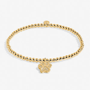 A Little 'Love Has Four Paws' Bracelet in Gold-Tone Plating