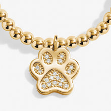 Load image into Gallery viewer, A Little &#39;Love Has Four Paws&#39; Bracelet in Gold-Tone Plating
