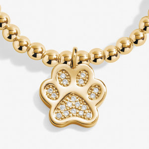 A Little 'Love Has Four Paws' Bracelet in Gold-Tone Plating