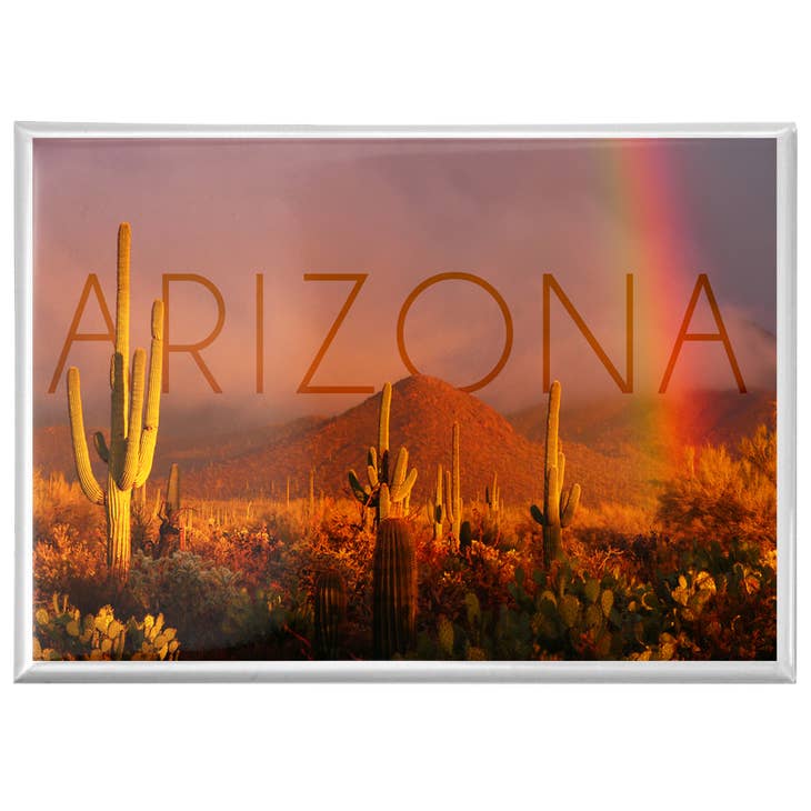 Magnet - Arizona, Cactus and Rainbow Photograph