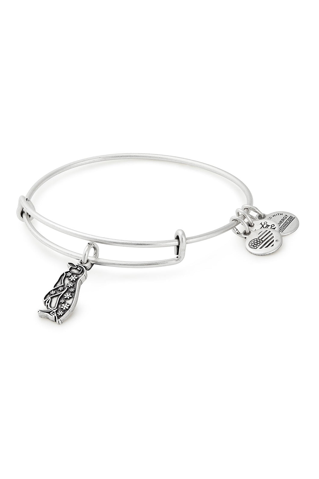 Alex and Ani Penguin Charm Bangle