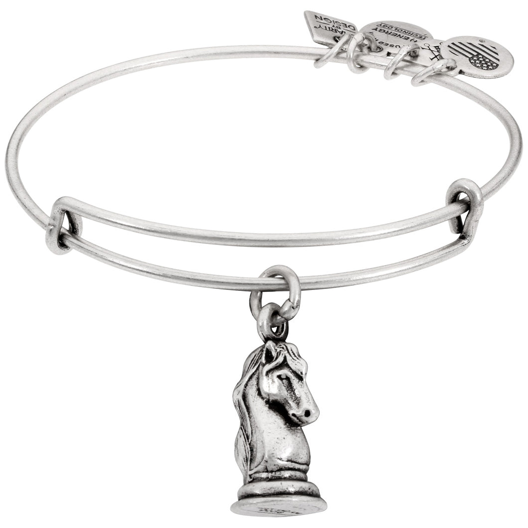 Alex and Ani Knight Charm Bangle