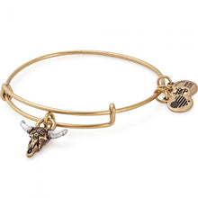 Load image into Gallery viewer, Alex and Ani Spirited Skull Charm Bangle
