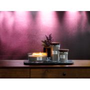 Fireside Ellipse WoodWick Candle