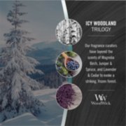 Load image into Gallery viewer, Icy Woodland Trilogy Ellipse WoodWick Candle
