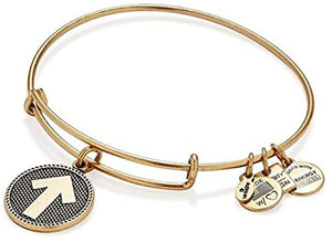 Alex and Ani Stand up to Cancer Charm Bangle