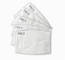 Load image into Gallery viewer, 5 Pack - Replacement PM 2.5 Carbon Filters
