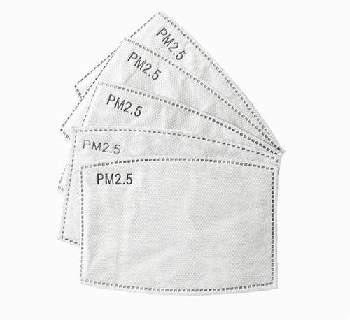 5 Pack - Replacement PM 2.5 Carbon Filters