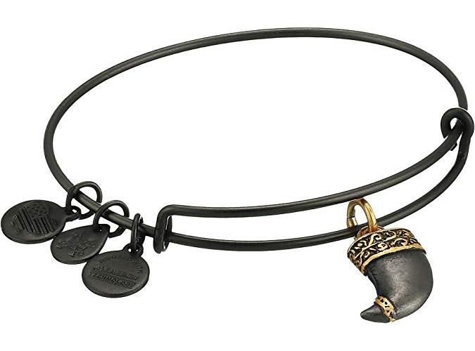 Alex and Ani Tiger's Claw Two Tone Charm Bangle Matte Midnight Silver