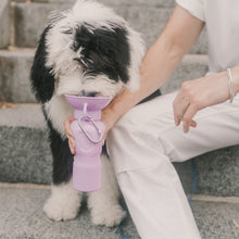 Load image into Gallery viewer, Portable Pet Classic Travel Bottle for Walking Hiking and Traveling - Lilac
