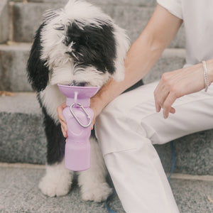 Portable Pet Classic Travel Bottle for Walking Hiking and Traveling - Lilac
