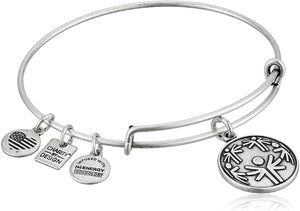 Alex and Ani Power of Unity Charm Bangle