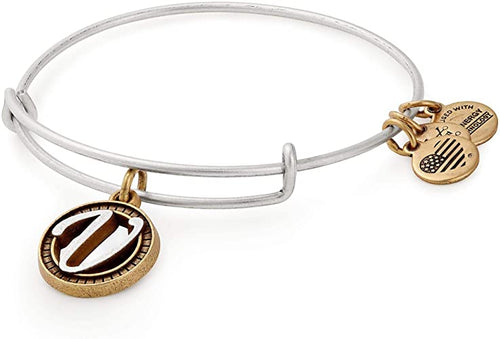 Alex and Ani Initial V II Bangle Two Tone Silver