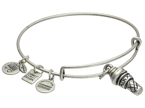 Alex and Ani Sweet Treats Charm Bangle