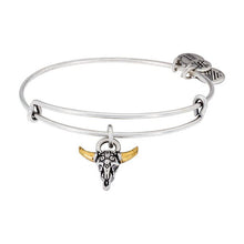 Load image into Gallery viewer, Alex and Ani Spirited Skull Charm Bangle
