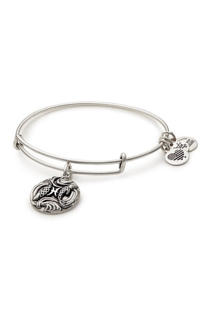 Alex and ani pisces best sale bracelet