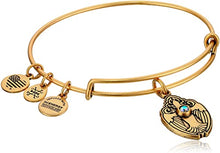 Load image into Gallery viewer, Crystal Dove Bangle
