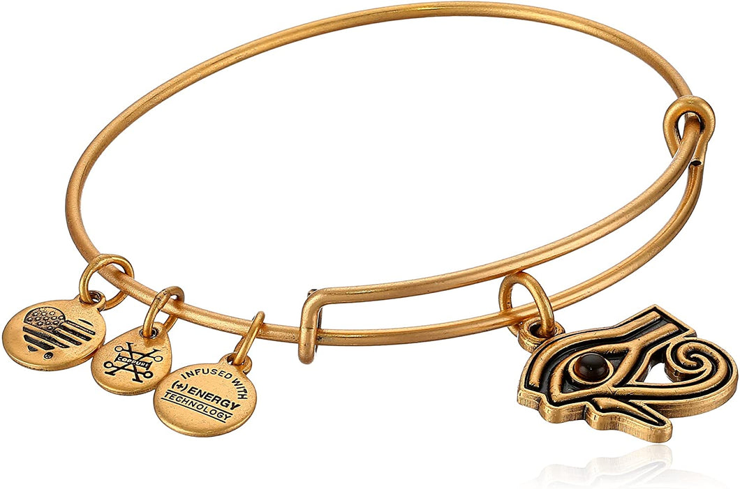 Alex and Ani Eye of Horus Charm Bangle