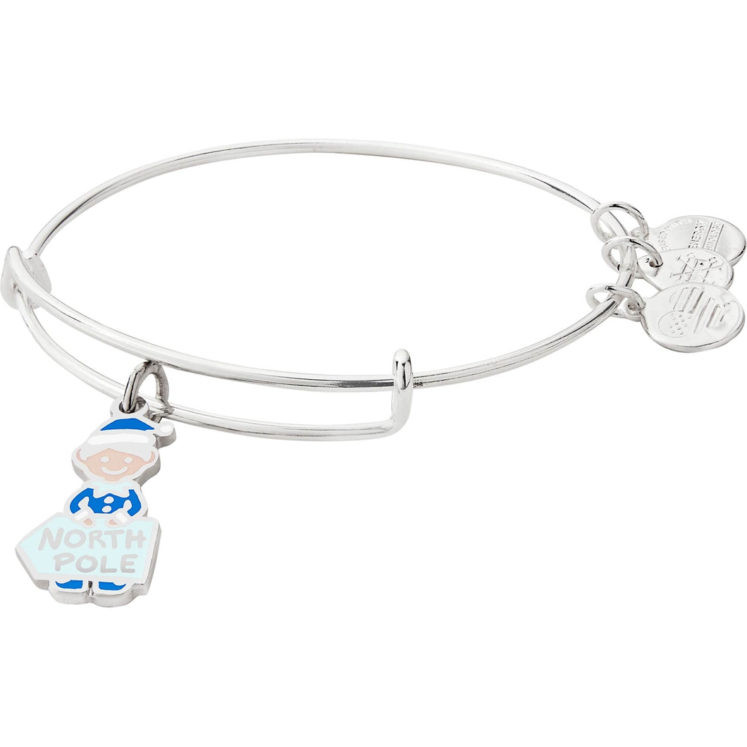 Elf Charm Bangle Silver - Main Image