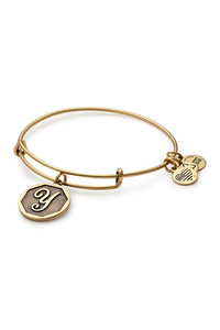 Alex and Ani Initial Y Bangle Gold