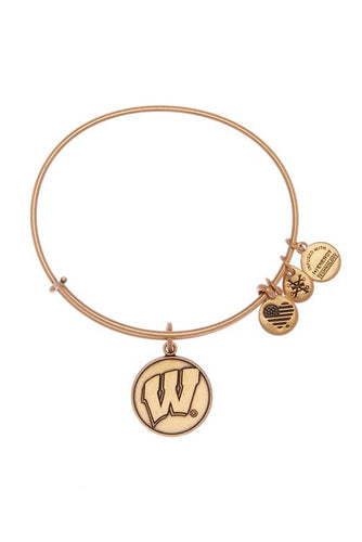 Alex and Ani University of Wisconsin Charm Bangle