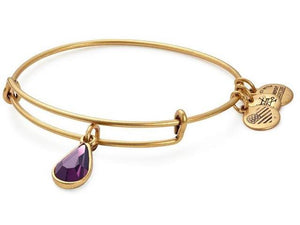 Alex and Ani - February Amethyst Birthstone Teardrop Charm Bangle With Swarovski® Crystals Rafaelian Gold