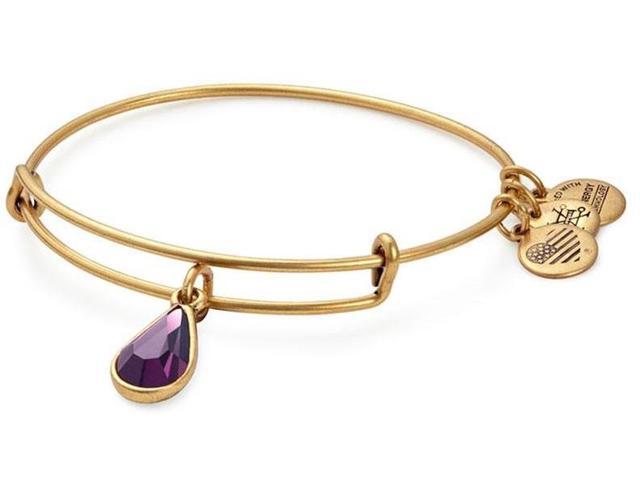 Alex and Ani - February Amethyst Birthstone Teardrop Charm Bangle With Swarovski® Crystals Rafaelian Gold