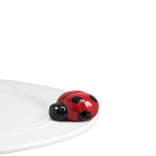 Ladybug
