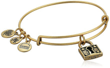 Load image into Gallery viewer, Alex and Ani Unbreakable Love Charm Bangle
