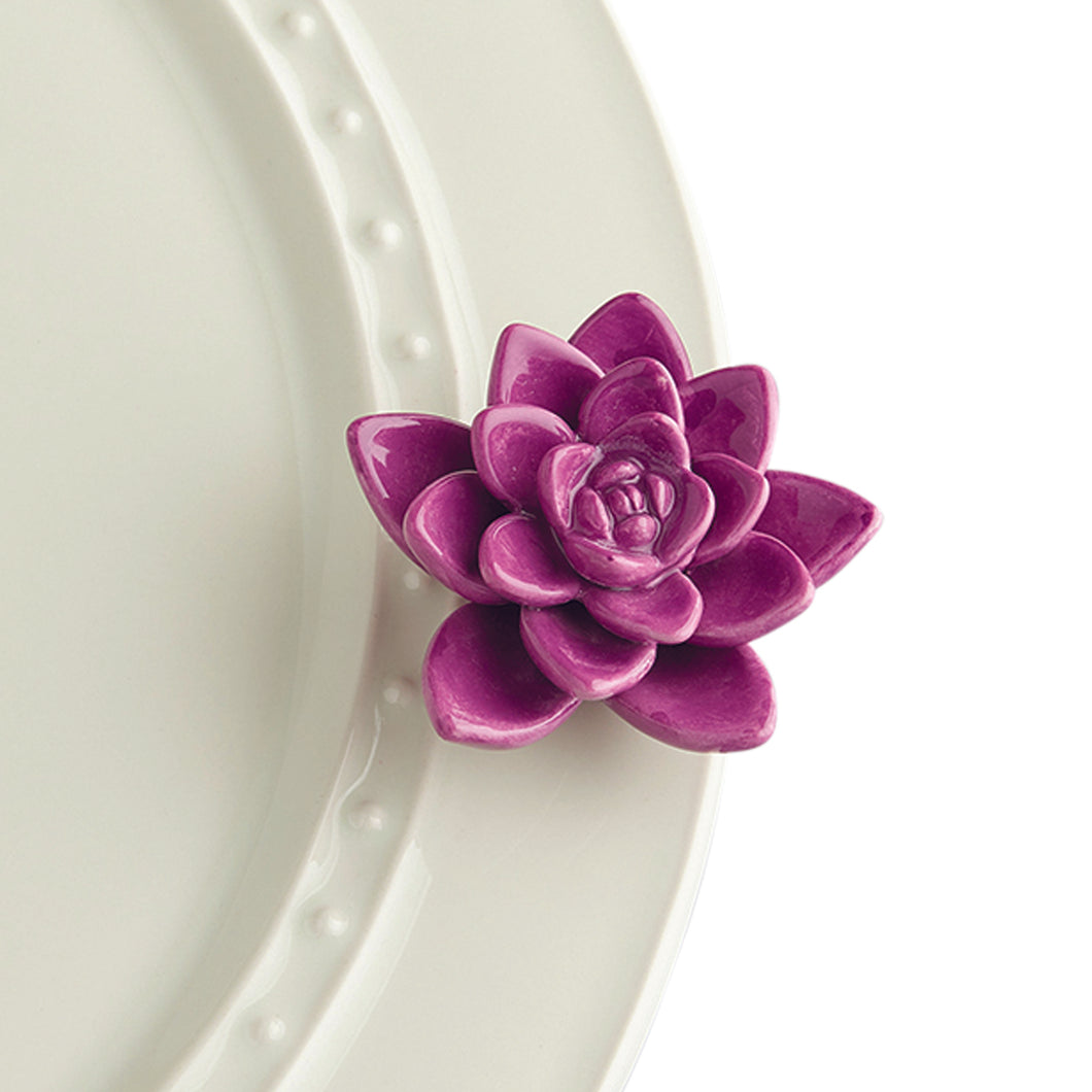Lotus Flower
