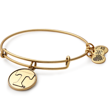 Load image into Gallery viewer, University of Tennessee Charm Bangle
