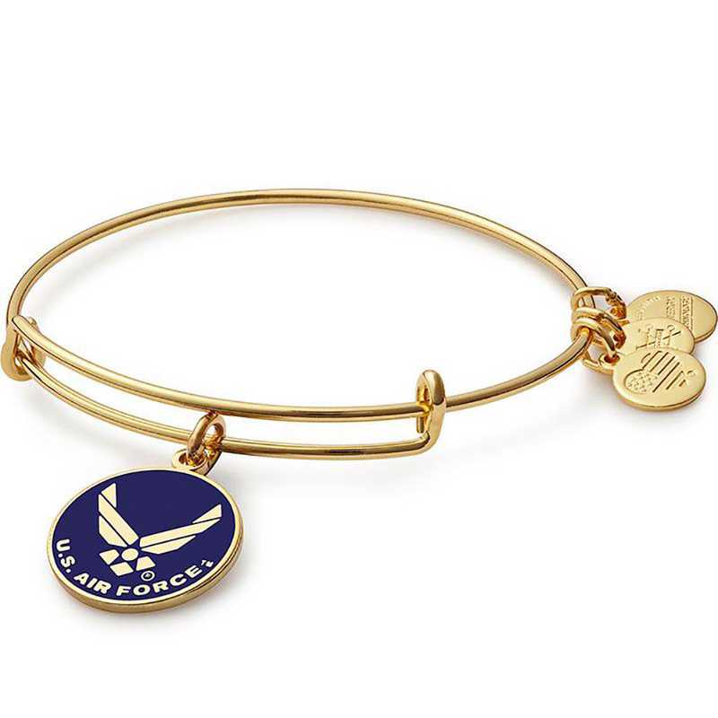 Alex and Ani US Air Force Charm Bangle