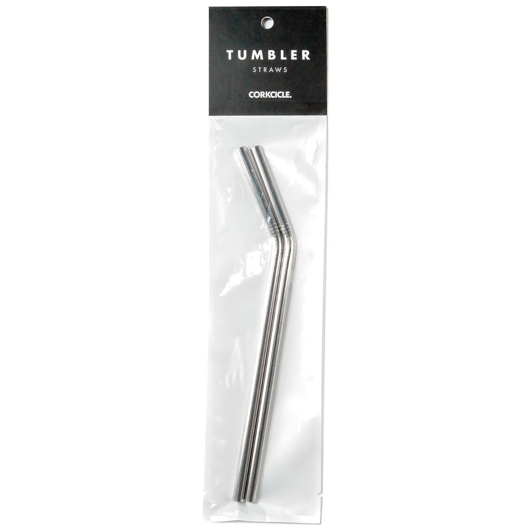 Tumbler Straw 2-Pack - Stainless Steel