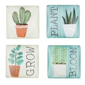 Magnet Set - Cactus Plant/Grow